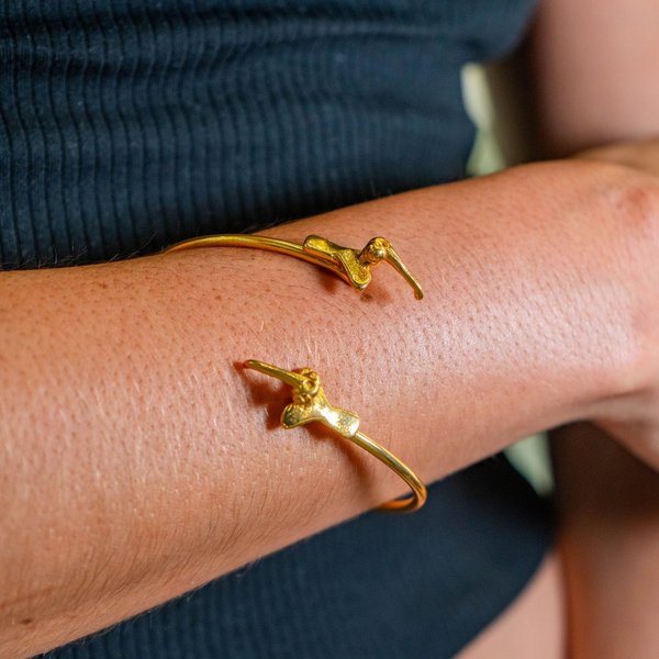 Brazalete Colibrís