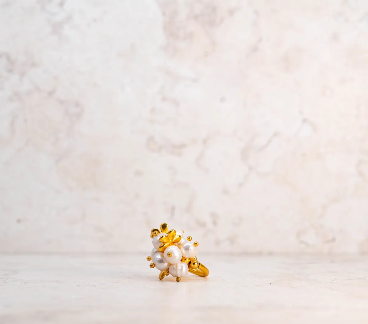 Anillo 25 — detalle