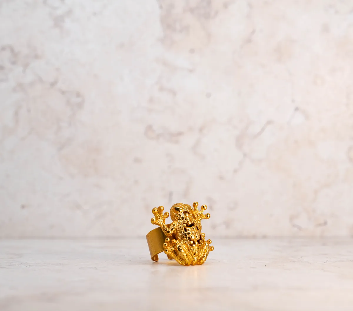 Anillo 31