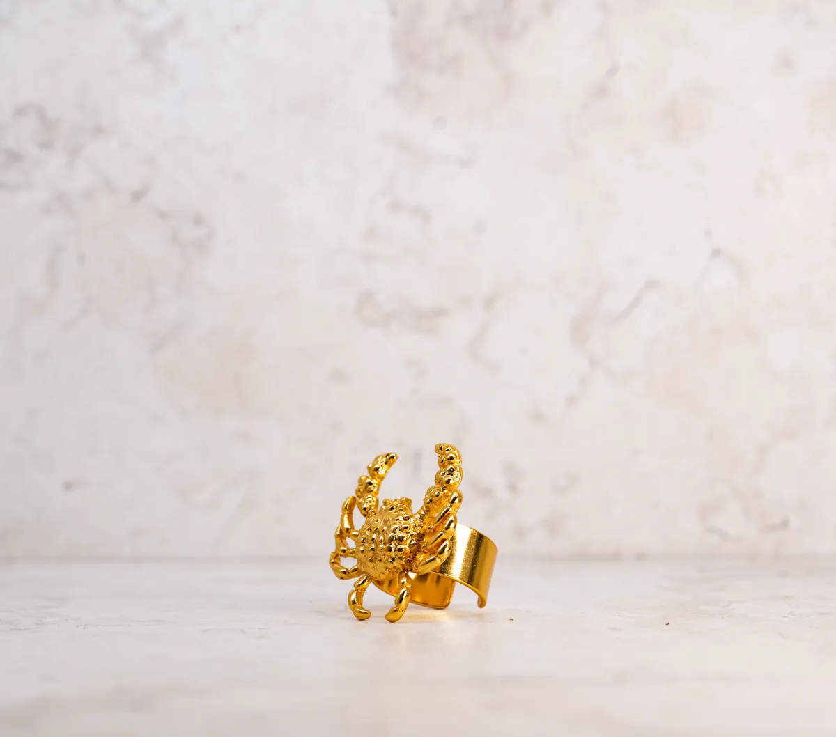 Anillo 41 — detalle