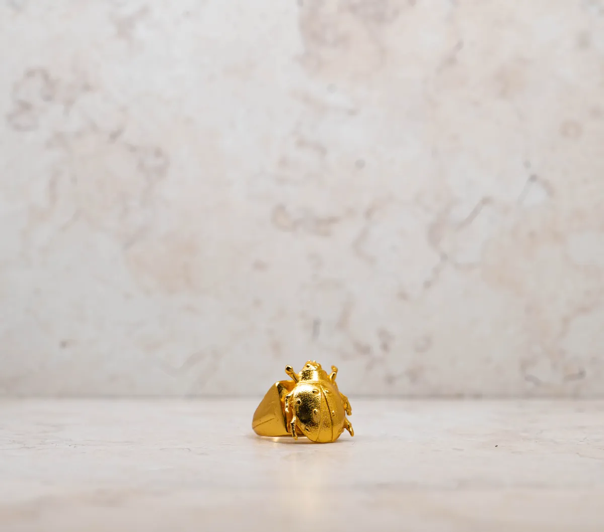 Anillo 45