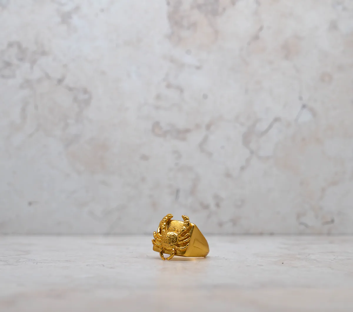 Anillo 46