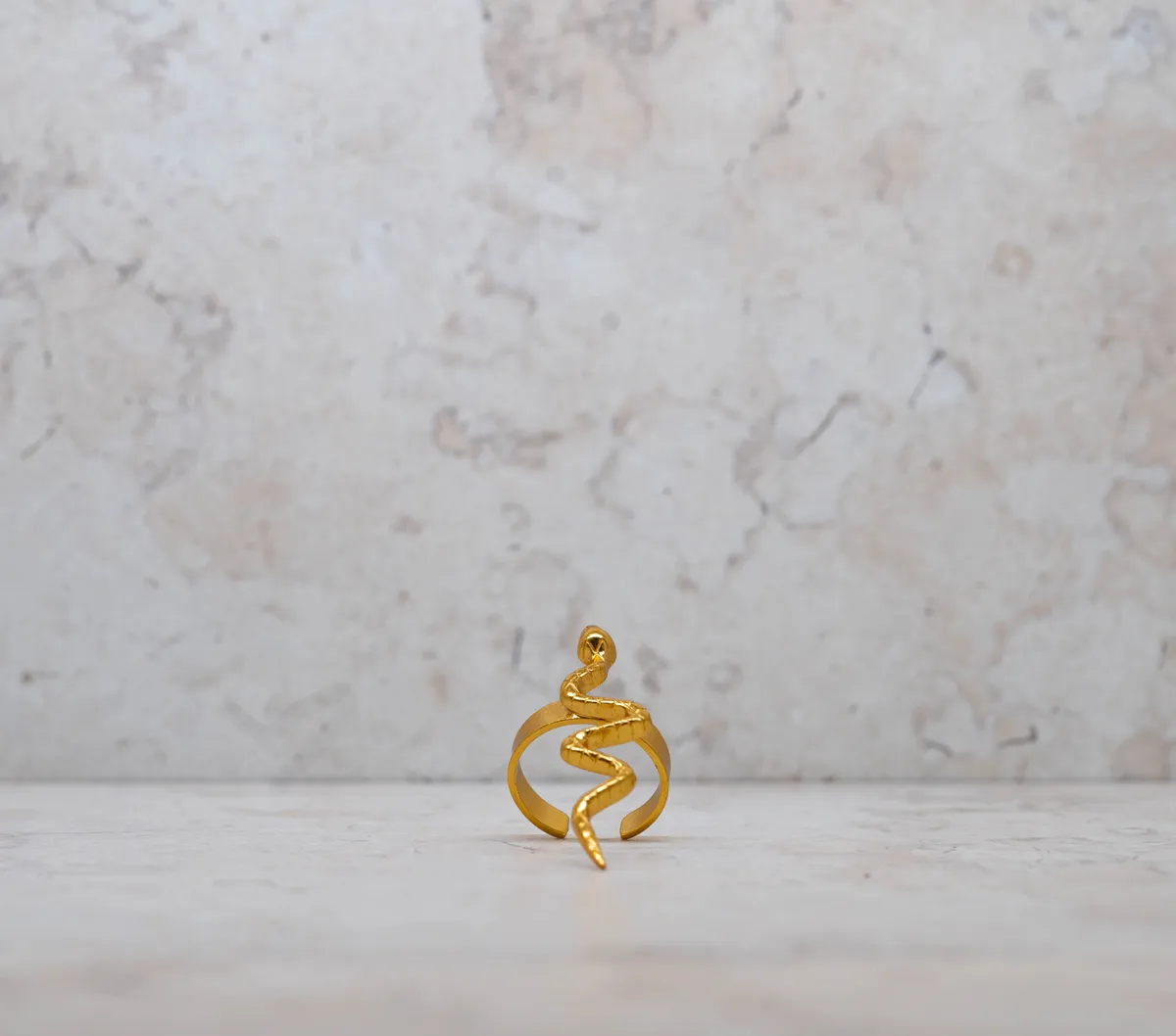 Anillo 47