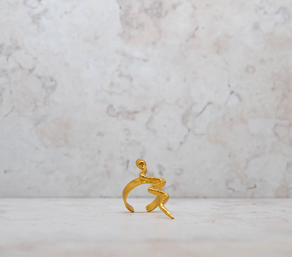 Anillo 47 — detalle