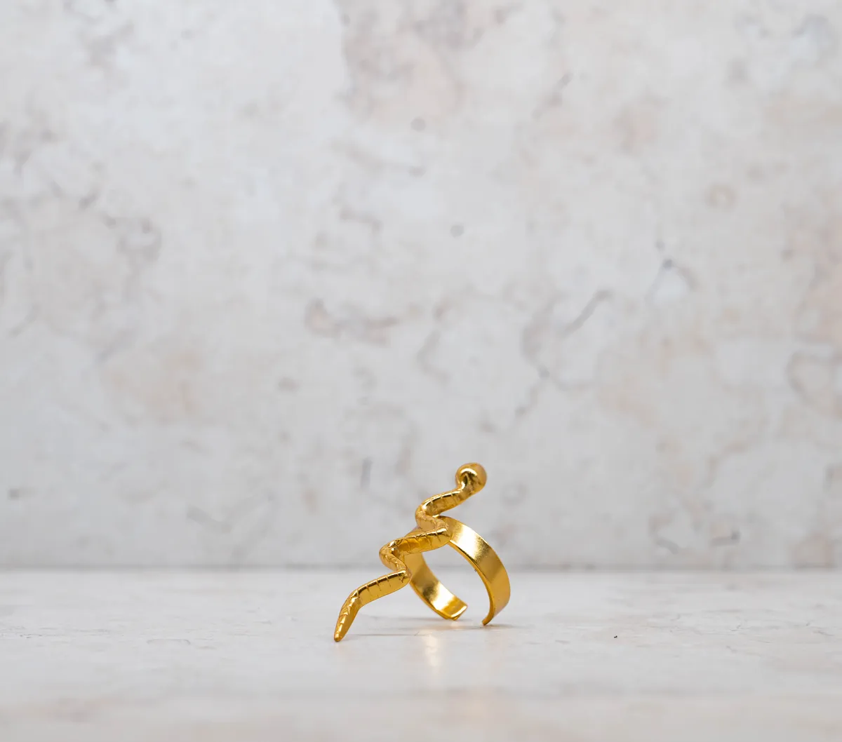 Anillo 47