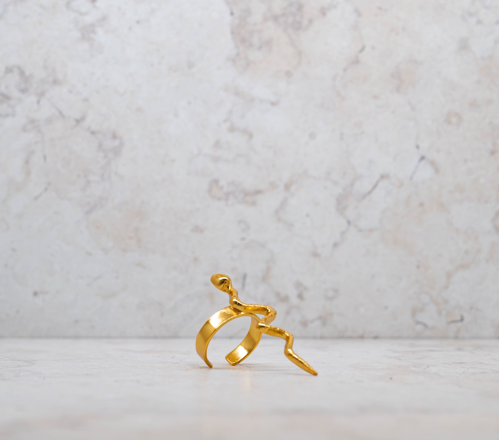 Anillo Serpiente