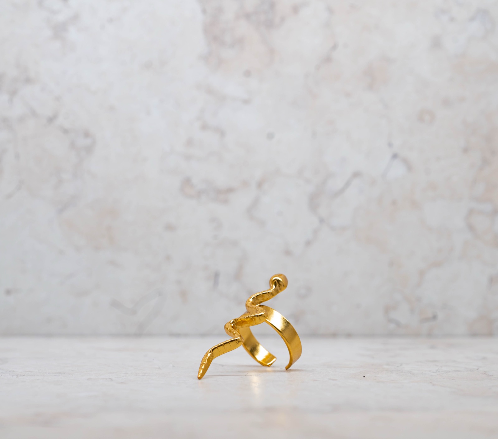 Anillo Serpiente