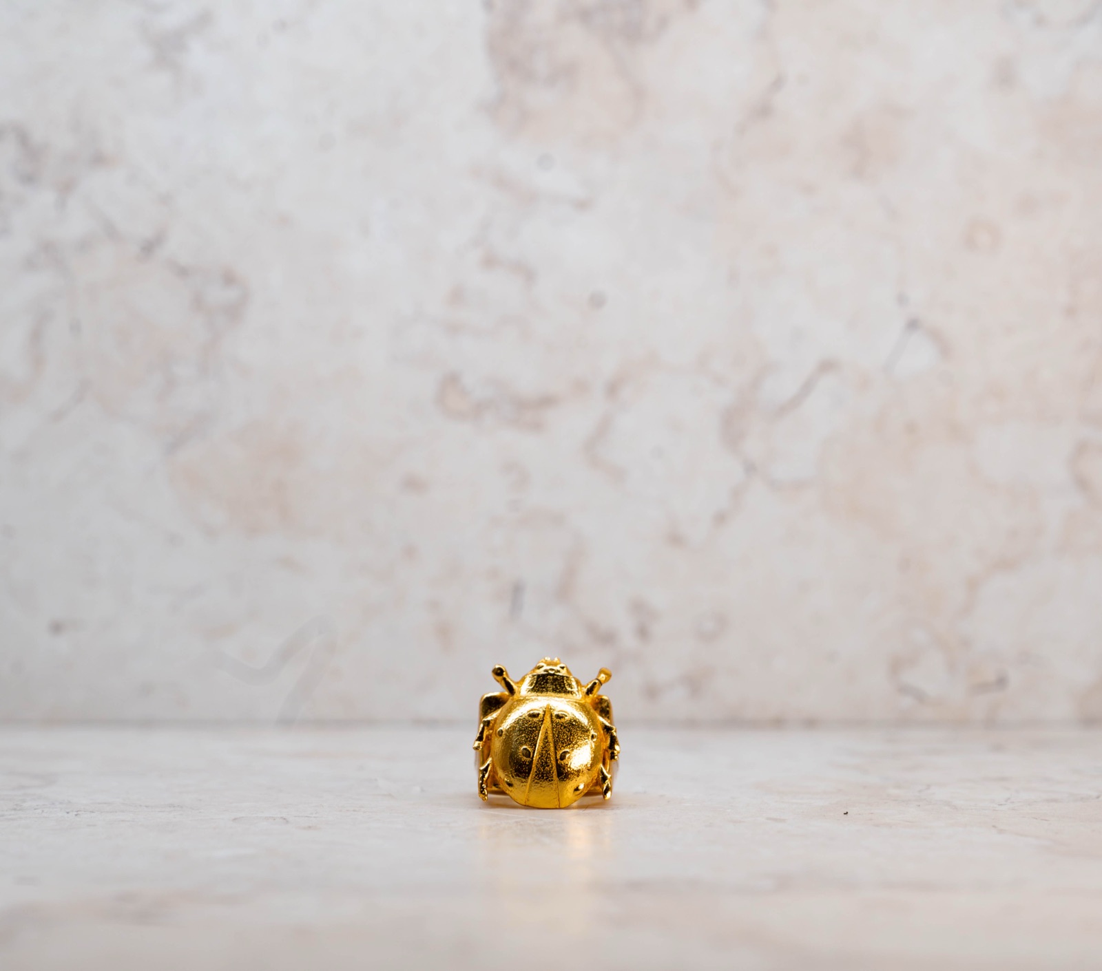 Anillo Sello Mariquita