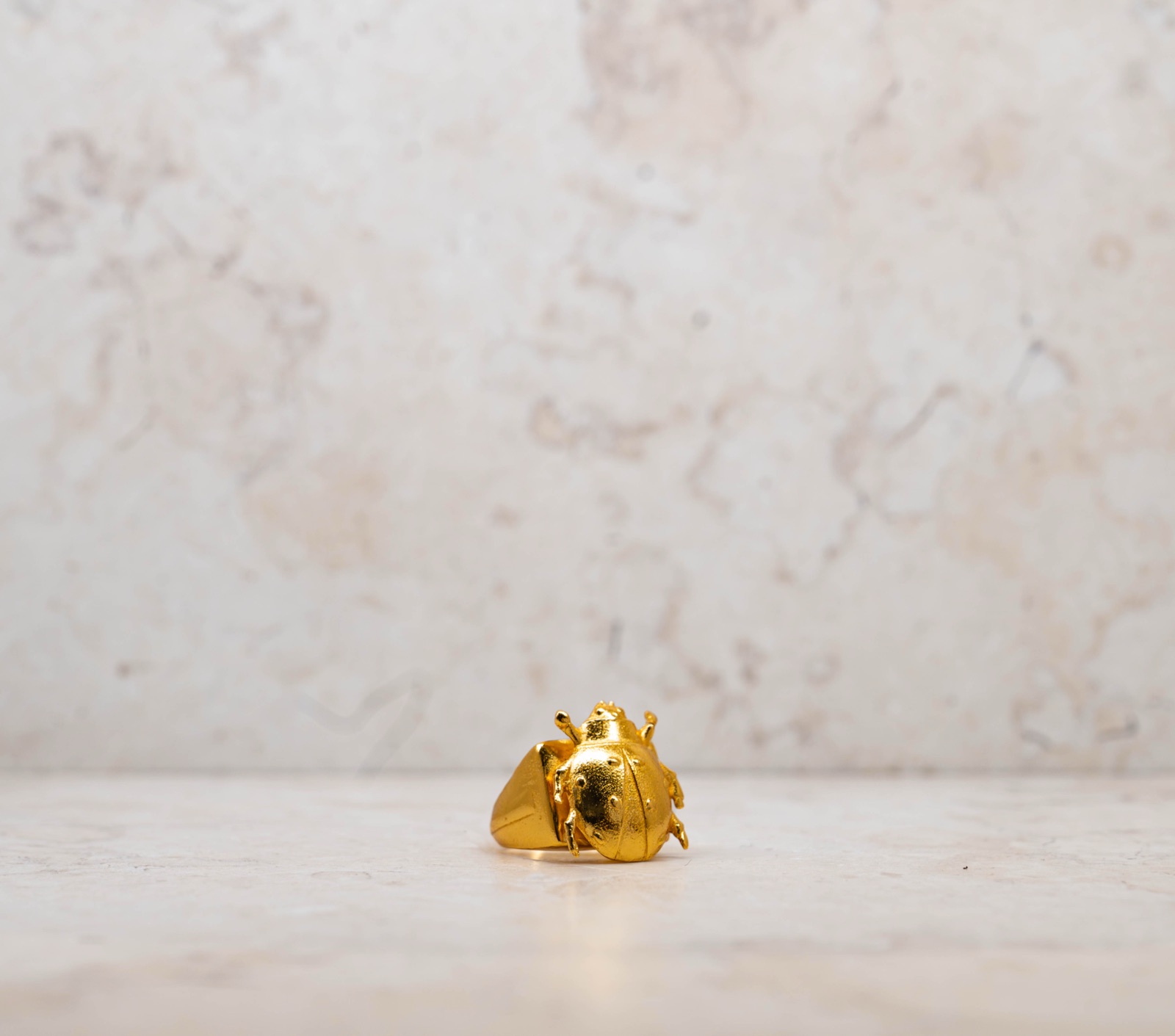 Anillo Sello Mariquita