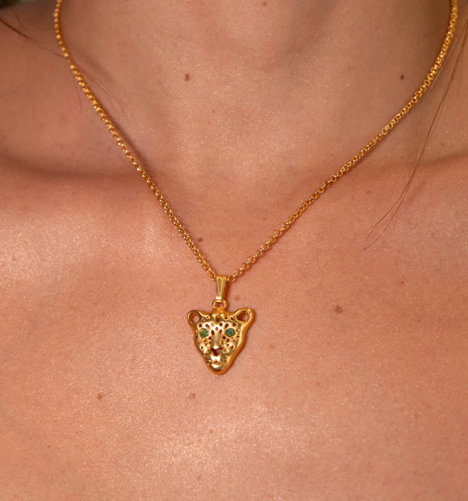 Leopardo