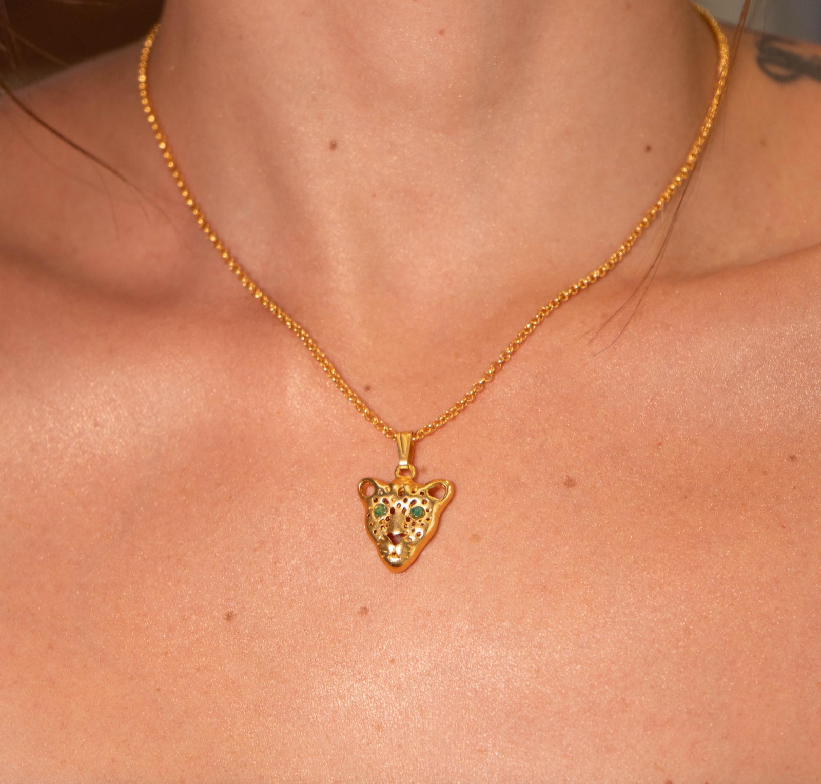 Leopardo