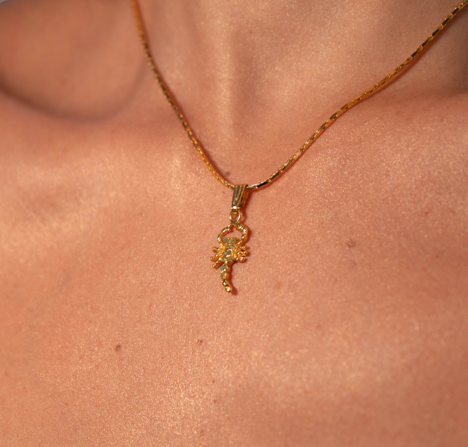 Escorpion